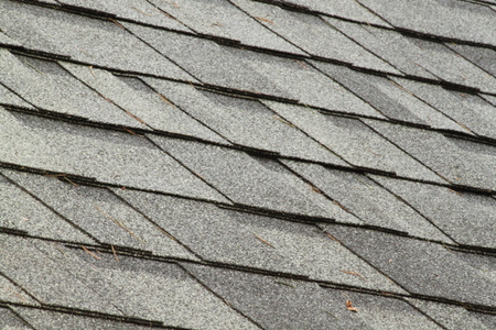 Roof Cleaning in Harrisonburg, VA | Roof Streaks vs. Moss