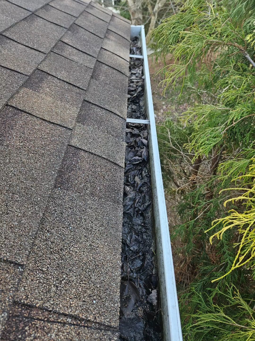 Expert Gutter Cleaning in Waynesboro, Harrisonburg & Staunton: Protect Your Home from Water Damage Thumbnail